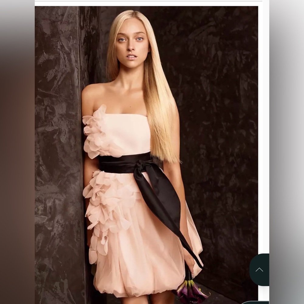 NWT vers  wang blush Pink Ruffled bubble hem. Gorgeous !